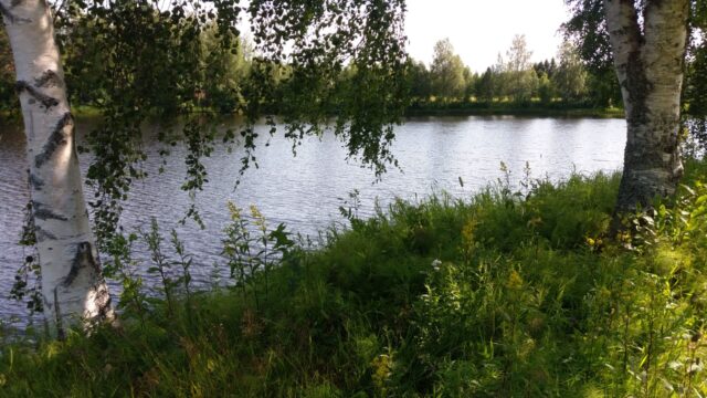 Järvimaisema 2025